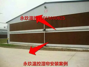 一级香蕉视频在线安装现场