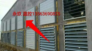 香蕉视频入口APP安装现场