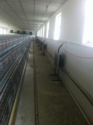 香蕉视频入口APP安装现场