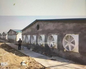 香蕉视频入口APP安装现场