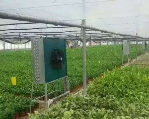 香蕉视频入口APP安装现场
